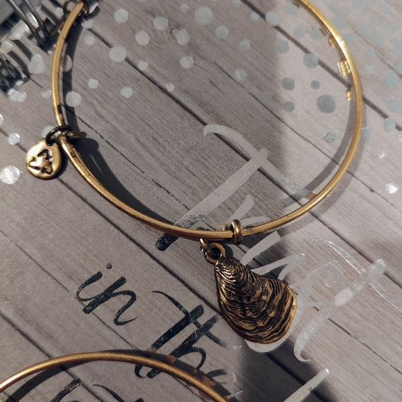 Alex&Ani - Picture 3 of 3